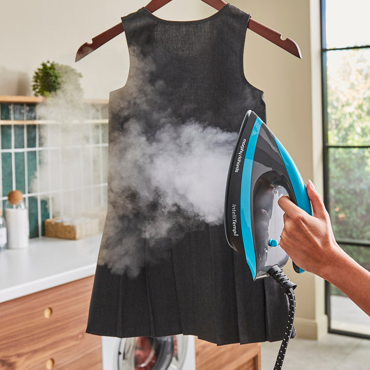 Autoclean Intellitemp 3000w SteamPro Steam Generator